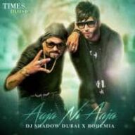 Aaja Ni Aaja Ringtones Bgm (Punjabi) [Download] - RingtonesHub.Org