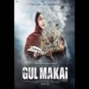 Gul Makai Ringtones | Gul Makai Bgm [Download] - RingtonesHub.Org