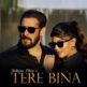Salman Khan – Tere Bina Ringtones Download