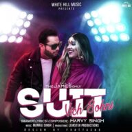 Suit Vich Sohni Song Ringtone Download - Harvy Singh